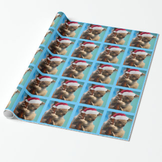 Papel De Regalo Abajo debajo de koala del gorra del navidad
