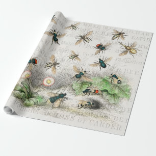 Papel De Regalo Abeja Miel Trabajador Reina Abejas Antigüo