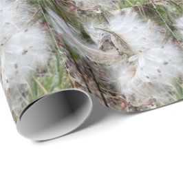Papel De Regalo Abrir Pods Milkweed | Semillas con seda |
