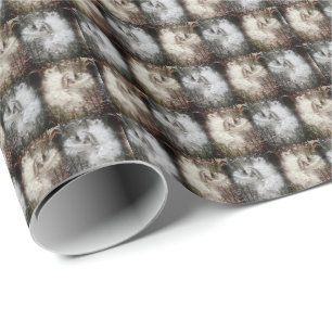 Papel De Regalo Abrir Pods Milkweed   Semillas con seda   Filtros