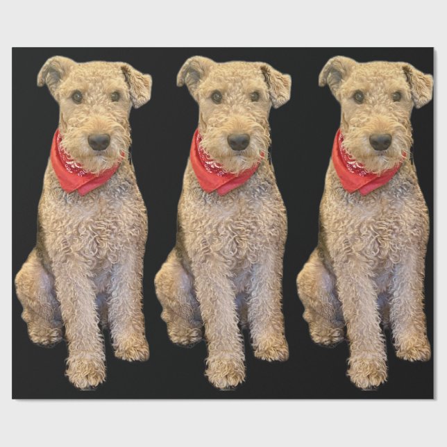 Papel De Regalo Acorn Wrapping Paper - Black (Superficie plana)