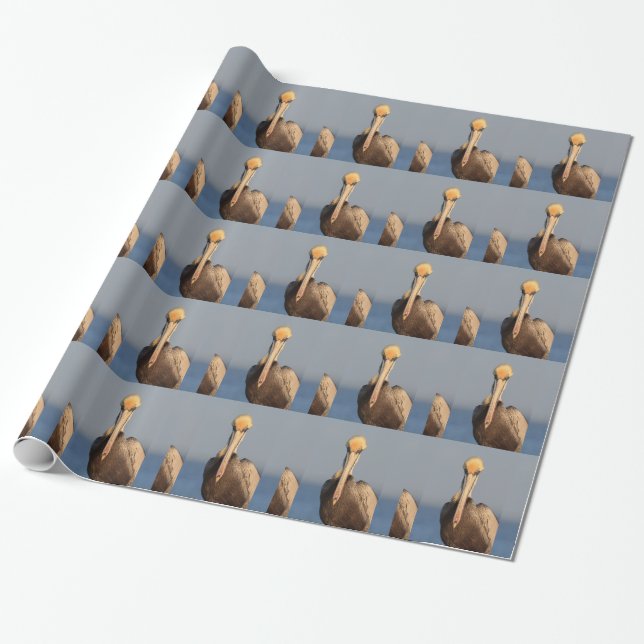 Papel De Regalo Actitud del pelícano (Desenrollado)