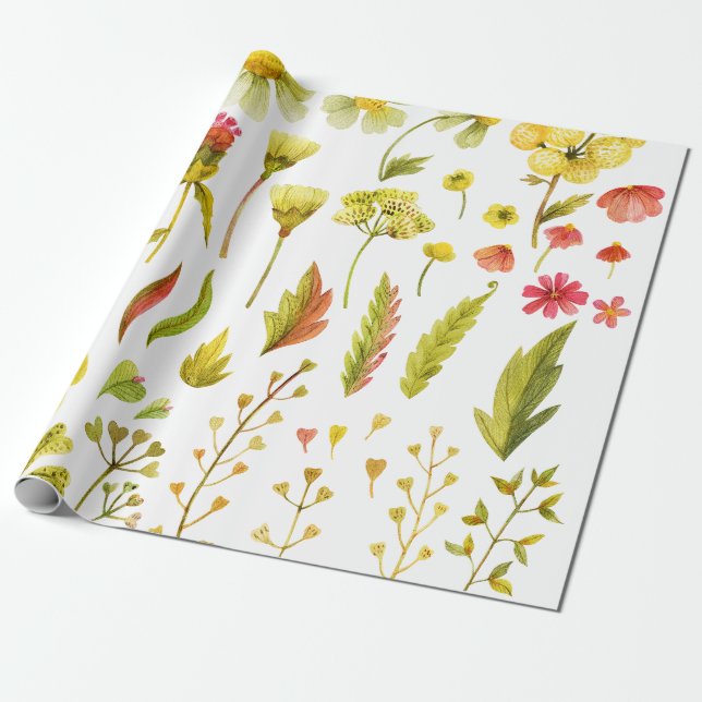 Papel De Regalo Acuarela Floral Botánica (Desenrollado)