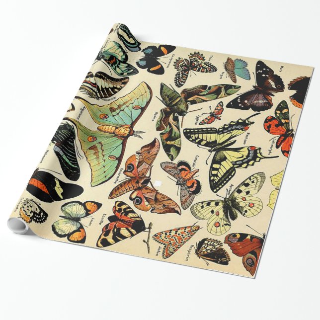 Papel De Regalo Adolphe Millot Papillons Wraping Paper (Desenrollado)