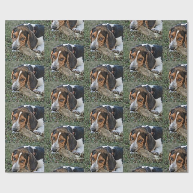 Papel De Regalo Adorable  Beagle Chewing A Bone (Superficie plana)