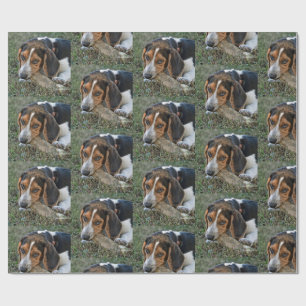 Papel De Regalo Adorable Beagle Mordiendo un Hueso