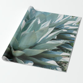 Papel De Regalo Agave Succulent Plant Cactus Green Sage gris