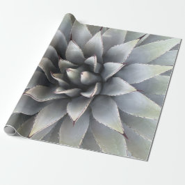 Papel De Regalo Agave Suculento Plant Cactus Sabio verde