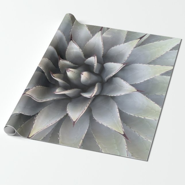 Papel De Regalo Agave Suculento Plant Cactus Sabio verde (Desenrollado)