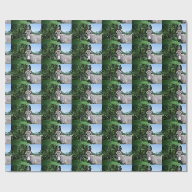 Papel De Regalo Agradable retrato de burro (Superficie plana)