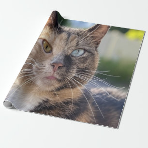 Papel De Regalo Agregar foto de gato personalizar