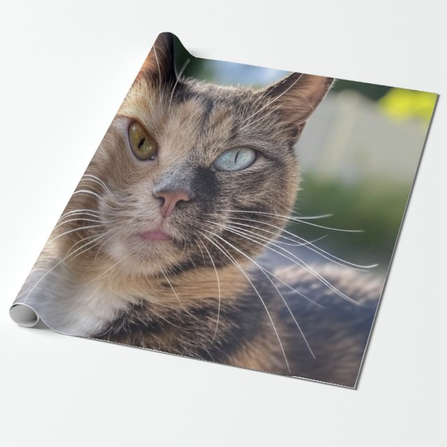 Papel De Regalo Agregar foto de gato personalizar (Desenrollado)