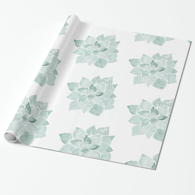 Papel De Regalo Agua Pintada A Mano Suculenta Echeveria Verde (Desenrollado)