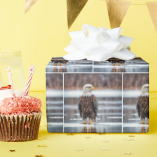 Papel De Regalo Águila Calva En El Hielo Del Lago