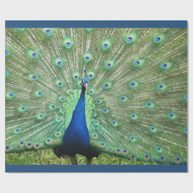 Papel De Regalo Ajuste de regalo - Peacock (v.2) (Superficie plana)