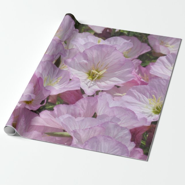 Papel De Regalo Ajuste de regalo - Primrose (Desenrollado)