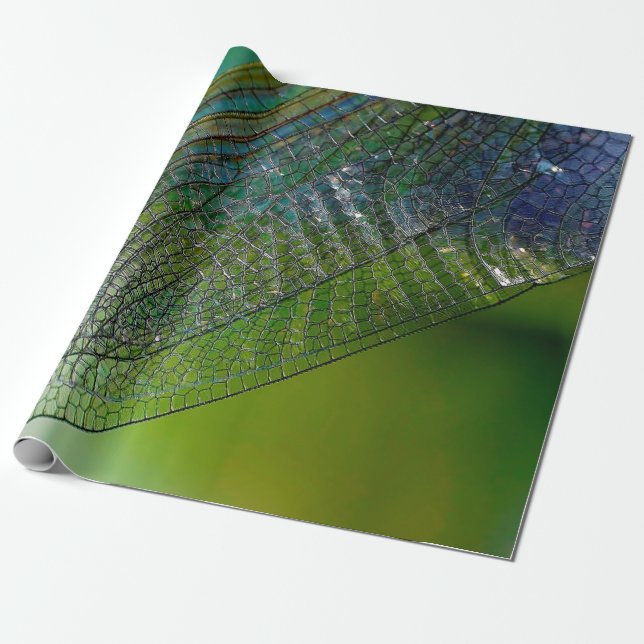 Papel De Regalo Alas de la libélula naturaleza insecto cercano (Desenrollado)