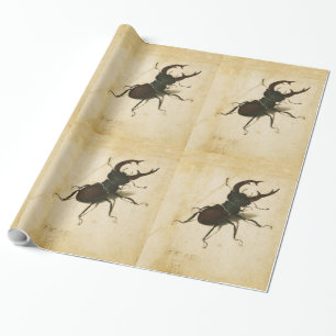 Papel De Regalo Albrecht Durer Stag Beetle Arte de época renacenti