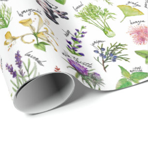 Papel De Regalo Alfabeto de las plantas y de las hierbas
