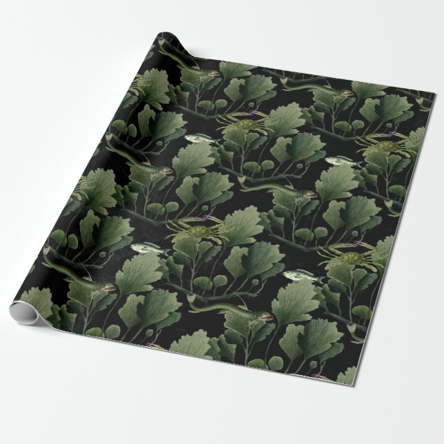 Papel De Regalo Algas marinas y peces en negro (Desenrollado)