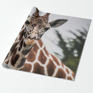 PAPEL DE REGALO ALGUIEN ME ESTÁ MIRANDO