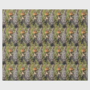 Papel De Regalo Alimentación de Hoopoe Nestling