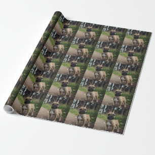 Papel De Regalo Almohada de lanzamiento de Bulldog Francés