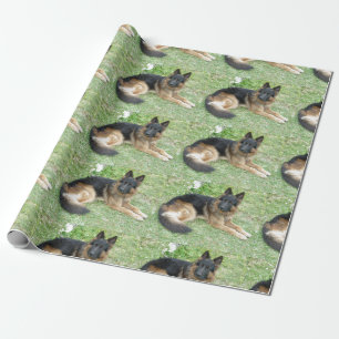 Papel De Regalo Alsatian del negro y del moreno