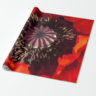Papel de Regalo Amapola Naranja