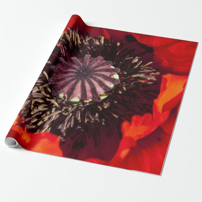Papel de Regalo Amapola Naranja (Desenrollado)