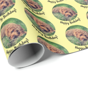 Papel de regalo amarillo adorable Goldendoodle
