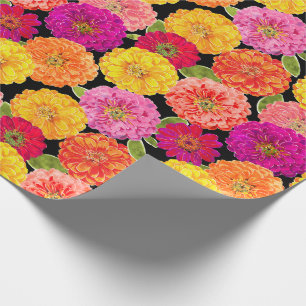Papel De Regalo Amarillo del rosa de los Zinnias del verano floral