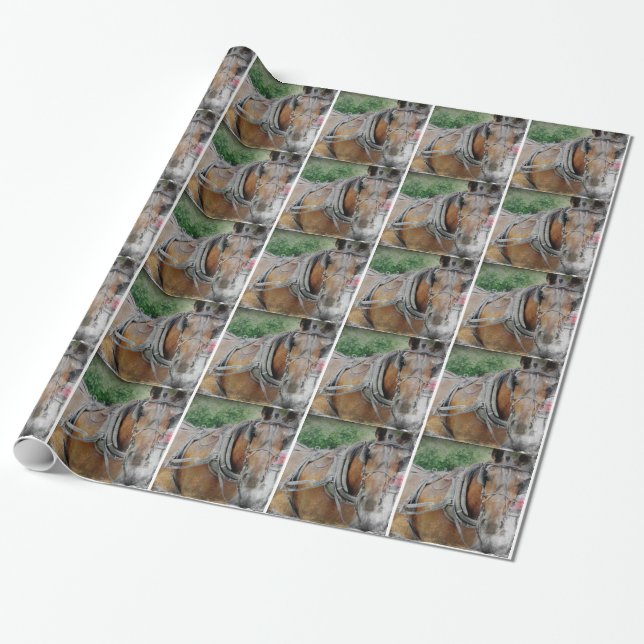 Papel De Regalo Amish Horse and Buggy (Desenrollado)