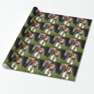 Papel De Regalo Amor adolescente del beagle