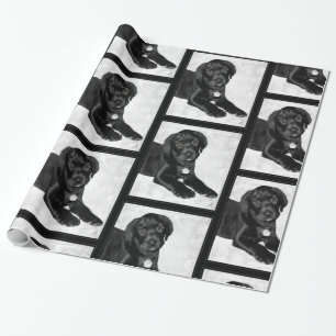 Papel De Regalo Amor adolescente Labrador negro