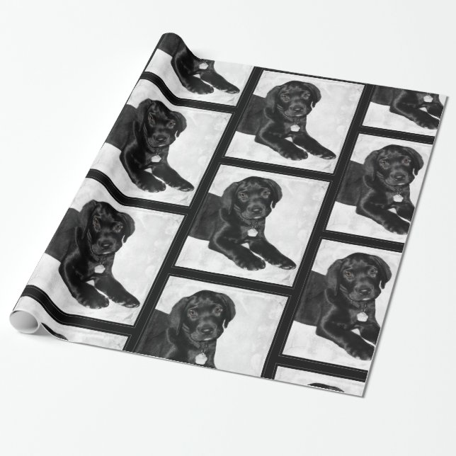 Papel De Regalo Amor adolescente Labrador negro (Desenrollado)