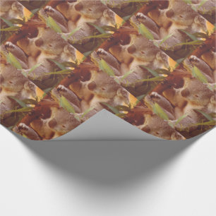Papel De Regalo Amor de Koala