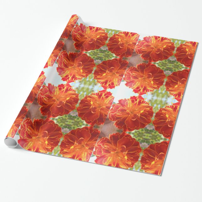 Papel De Regalo Anastaise (Desenrollado)