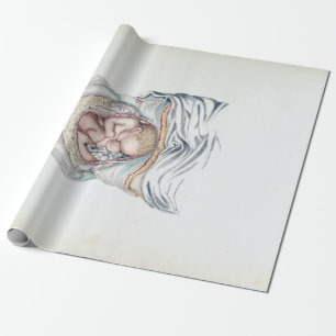 Papel De Regalo Anatomía antigua de un infante humano en el útero