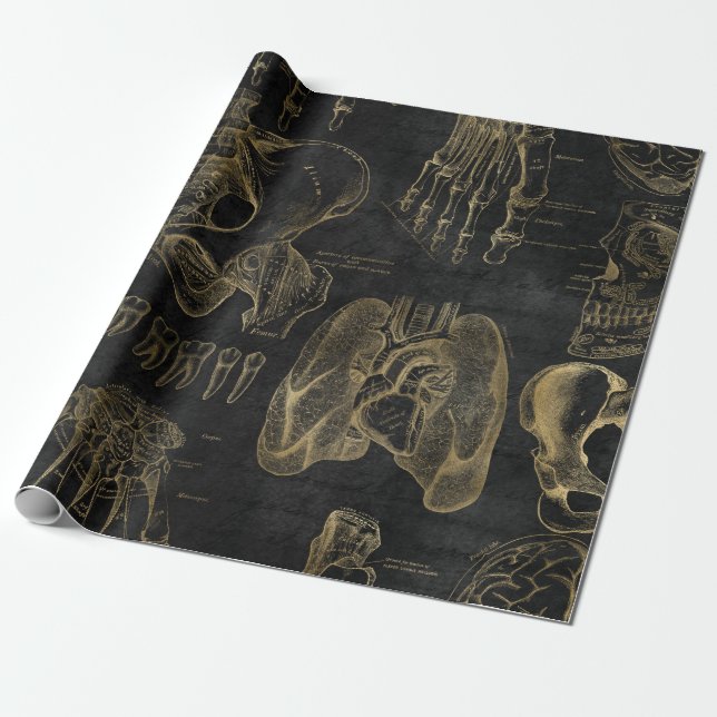 Papel De Regalo Anatomía de oro dibuja en negro (Desenrollado)