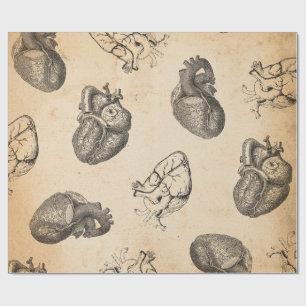Papel De Regalo Anatomía Vintage