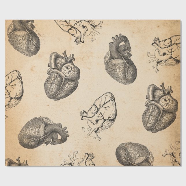 Papel De Regalo Anatomía Vintage  (Superficie plana)