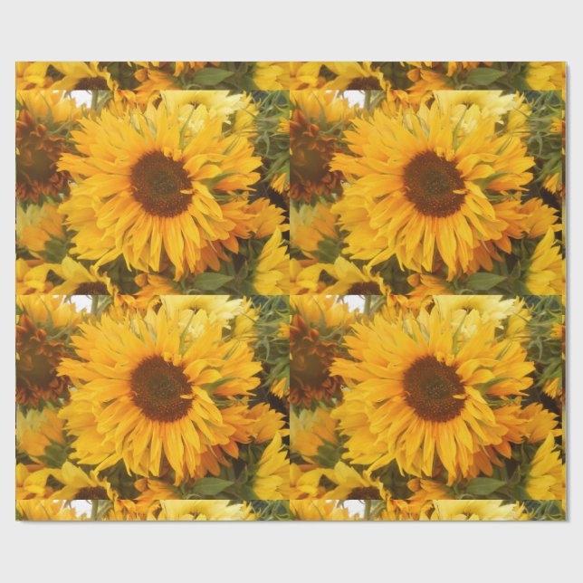 Papel De Regalo Andriola (Superficie plana)