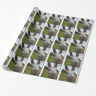 Papel De Regalo Andy