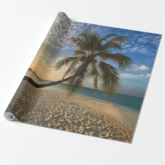 Papel De Regalo Animales del mar de bonito (Desenrollado)