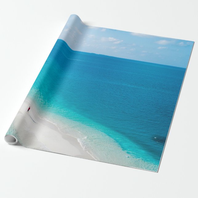 Papel De Regalo Animales marinos de Guay (Desenrollado)