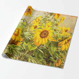 Papel De Regalo Antigüedad de época amarilla de campo de girasol