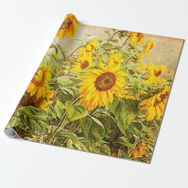 Papel De Regalo Antigüedad de época amarilla de campo de girasol (Desenrollado)