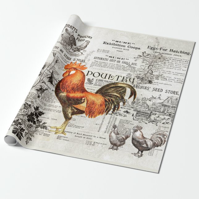 Papel De Regalo Antiguo Rooster Horticulture Ads Ephemera (Desenrollado)