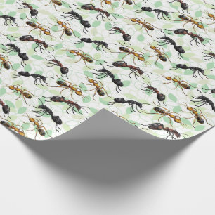 Papel De Regalo Ants Insect Bugs Wrapping Paper